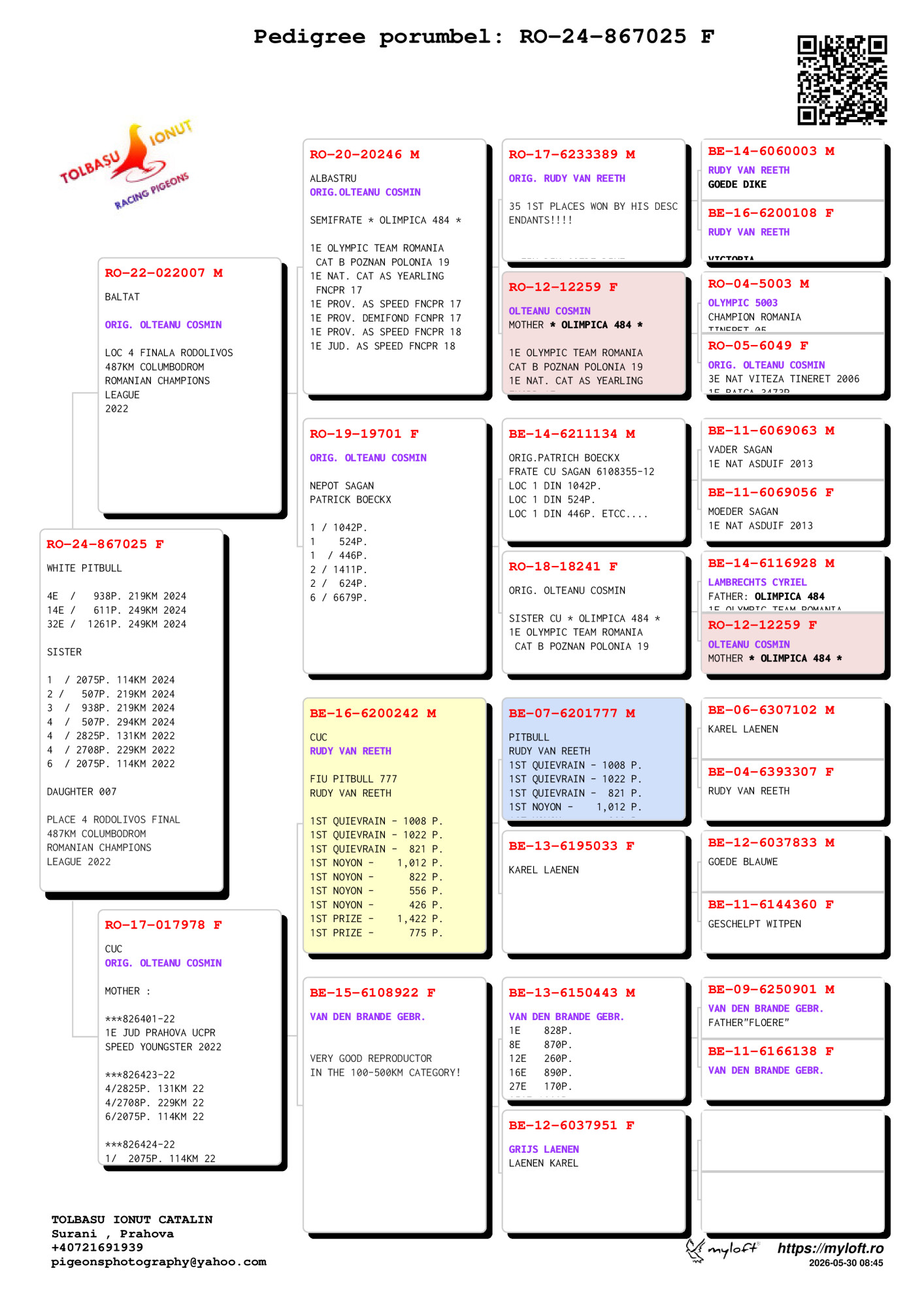 TEST 2 BE-25-6194341 F „Grizzly 341” - imagine 2